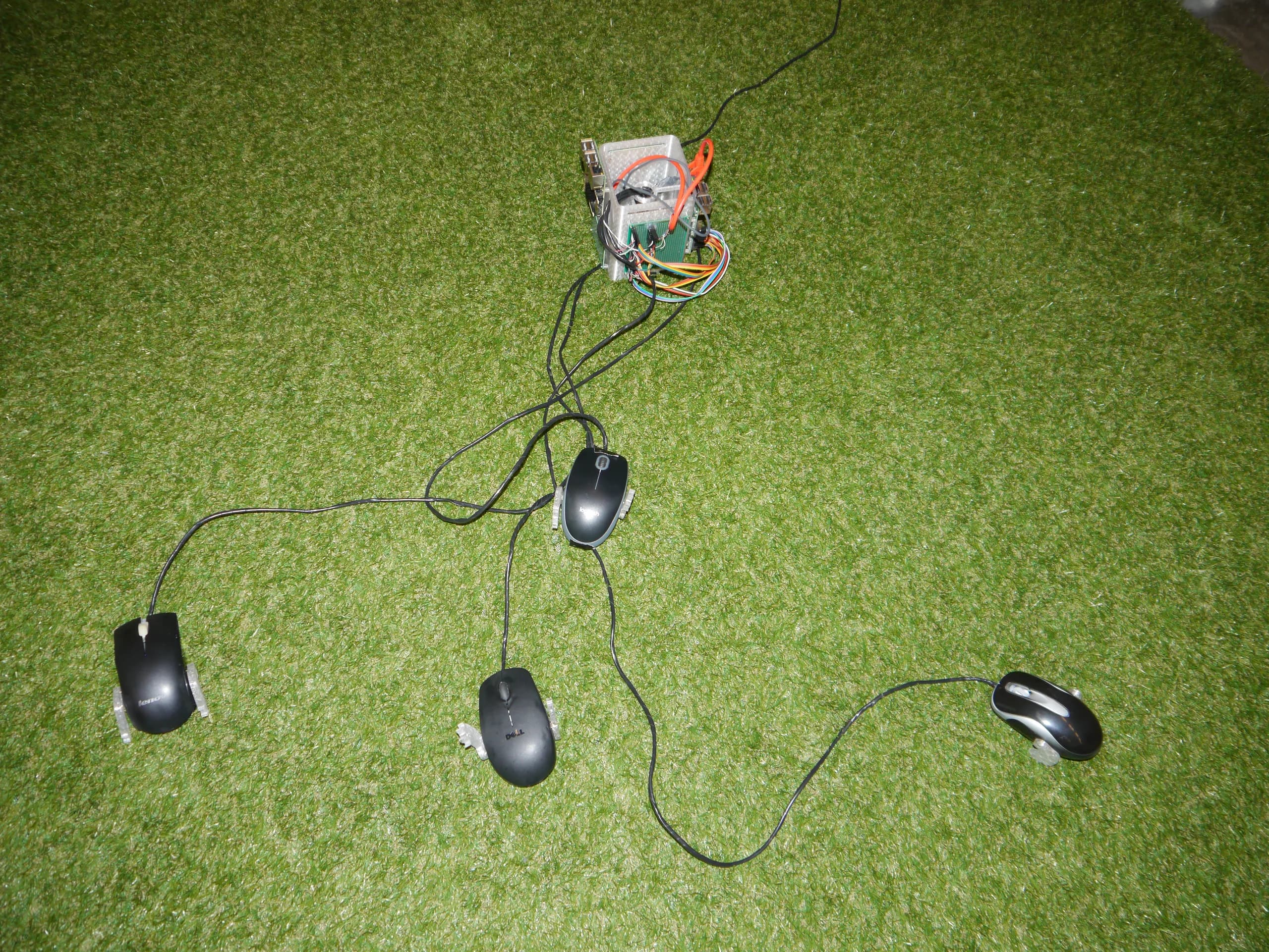 life of a computer mouse exhibition situation